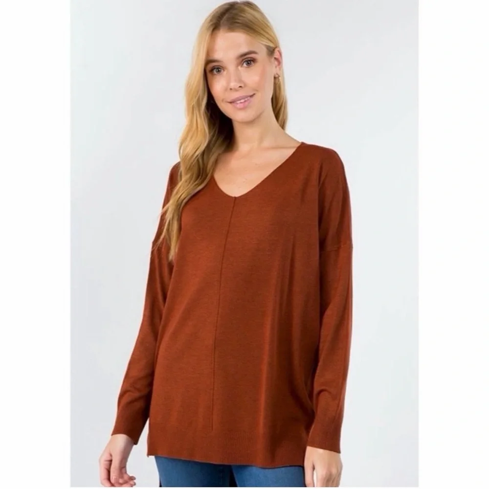 Dreamers by Debut Rust V Neck Front Seam Sweater